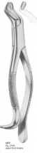  Fig. 210H upper third molars 